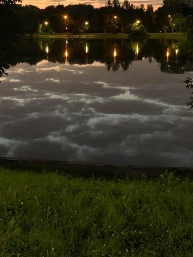 Нет, только показываю