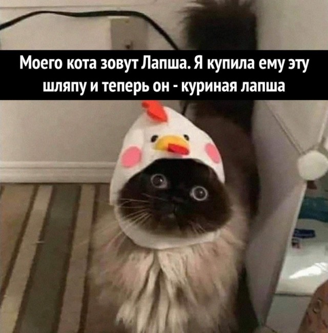 Немного картинок для настроения - 137