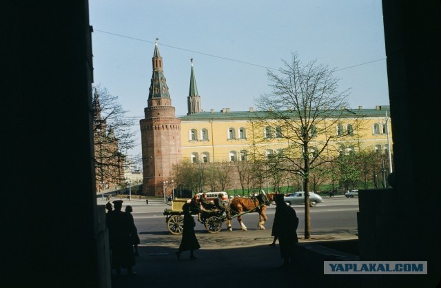 Москва 1953