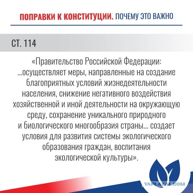 «Черные» мусорщики напали и жестоко избили эколога, девушку-юриста и журналистов
