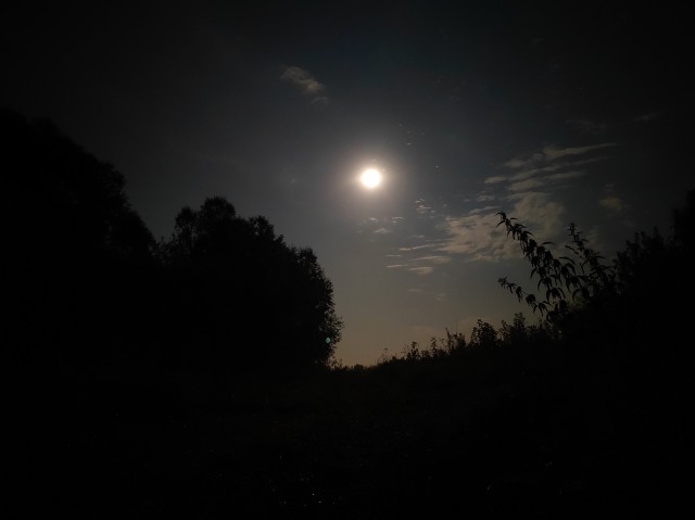 Рыбалка