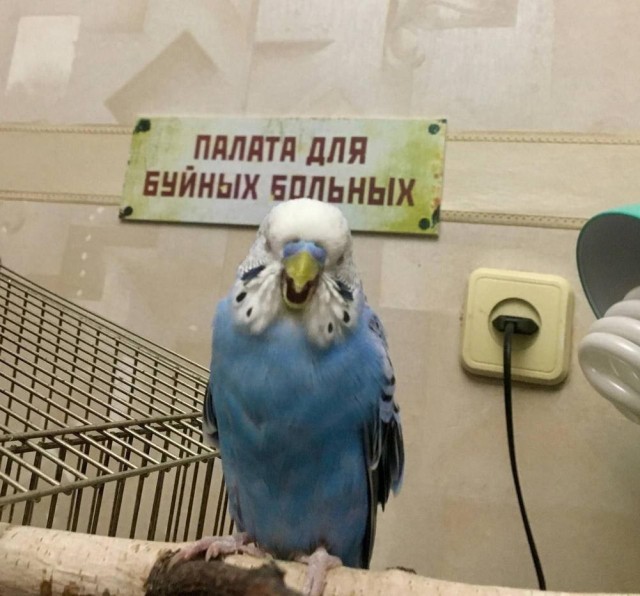Лето. Пятница. Картинко