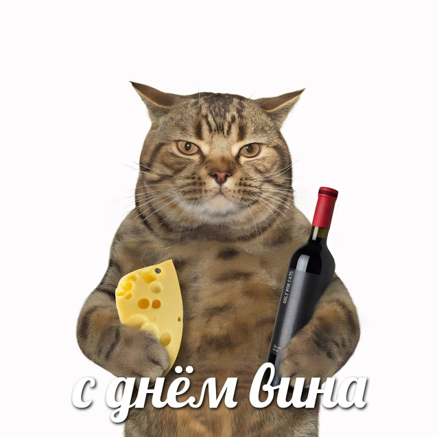 Без врага жизнь скучна, а с врагом - интересна