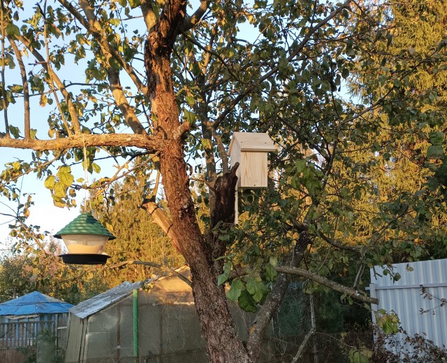 Хочешь узнать, как женщина занимается сексом? Посмотри на то, как она ест