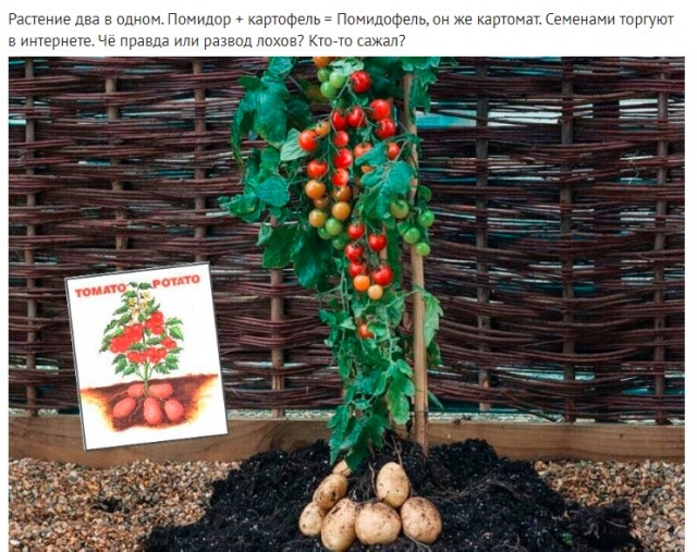 Так себе картинки 19.12.23