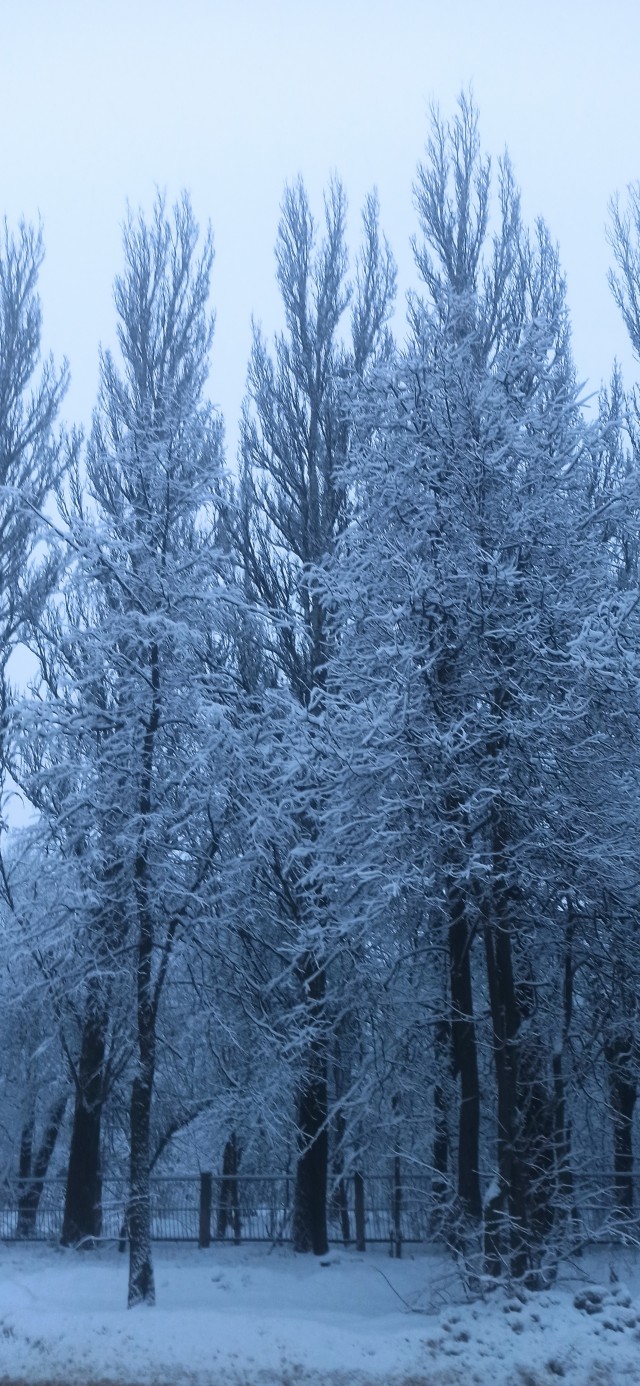Немного рыбалки
