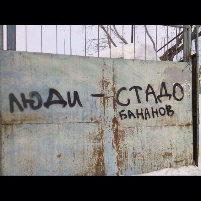Мысли на стене