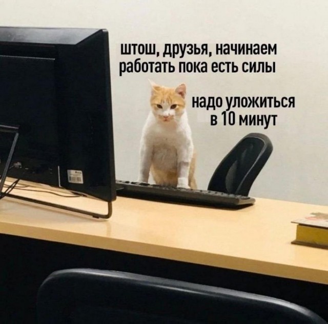 Всего понемногу. От 01.07.2024