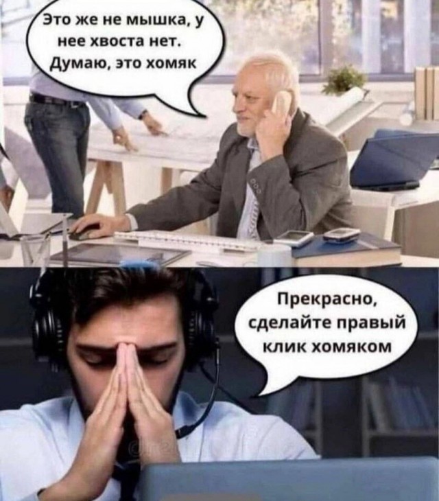 У айтишников нет души: ученые выявили у программистов необычную профдеформацию