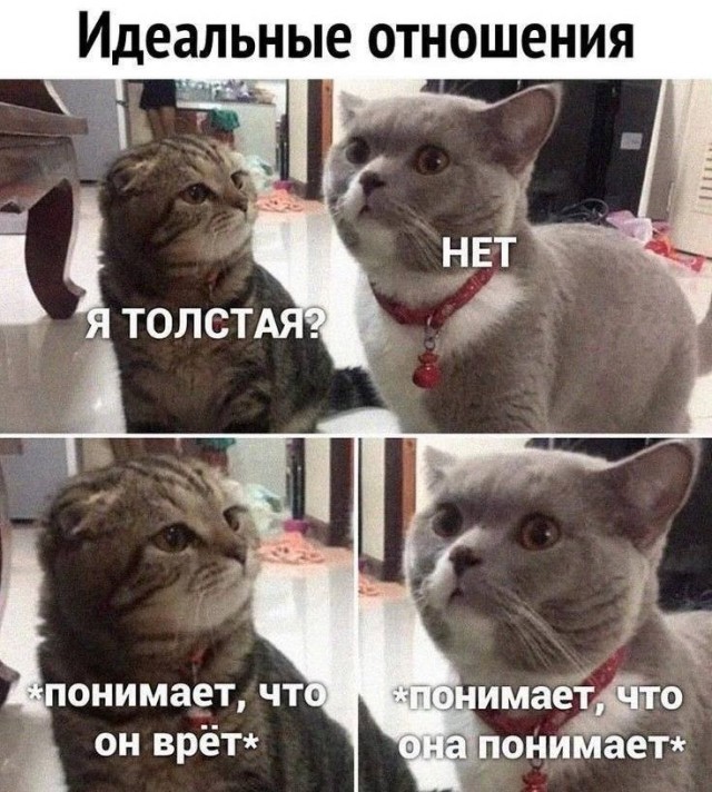 Завалялось тут случайно немного забавных картинок