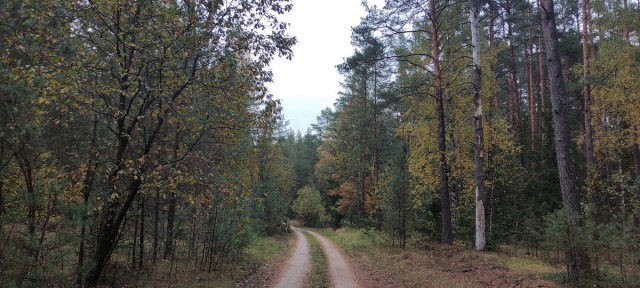 Рыбалка на реке Березина