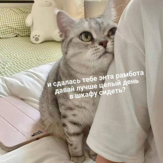 Завалялось тут случайно немного забавных картинок
