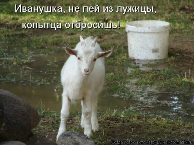 В Индии облысели несколько деревень из-за воды в реке