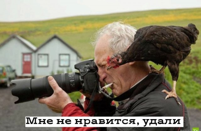 Так себе картинки 12.02.25