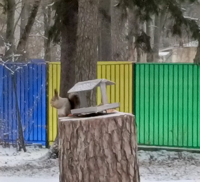 Красивое фото из телефона