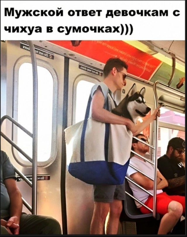 Так себе картинки 11.05.25