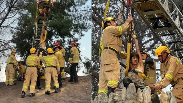 В США нетрезвая женщина застряла в дымоходе исторического здания в парке вблизи Лос-Анджелеса