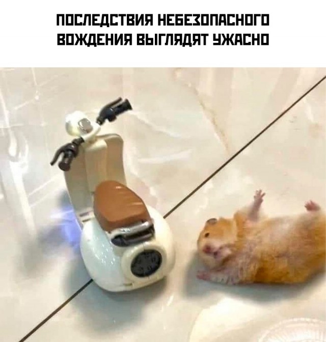Так себе картинки 14.10.25