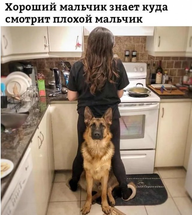 Картинки разные