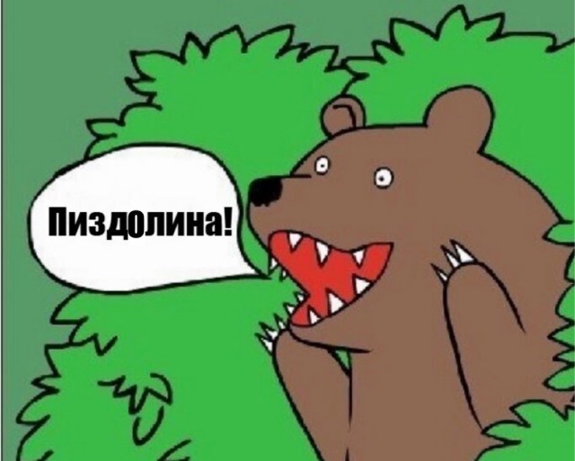 В Госдуме высказались о скандале вокруг Долиной