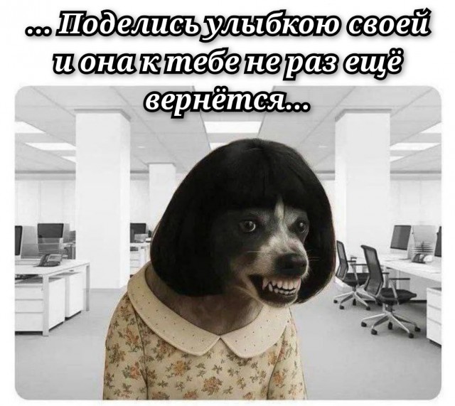 Так себе картинки 24.12.25