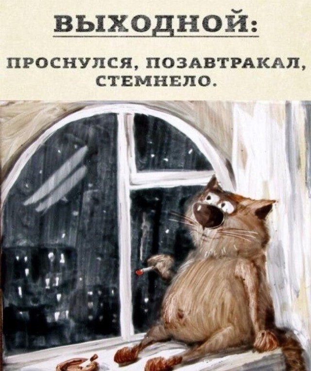 Субботние картинки
