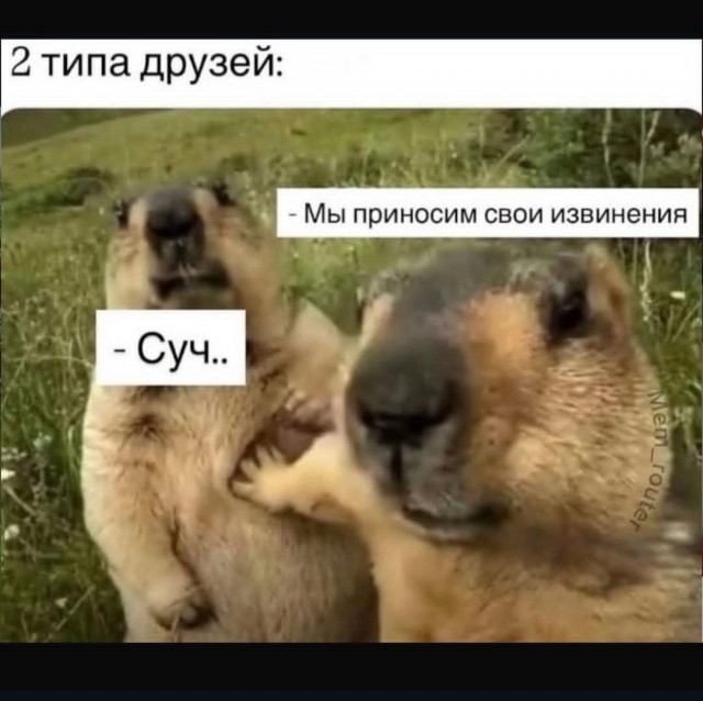 Картинки для деградации 152 (разной степени свежести)