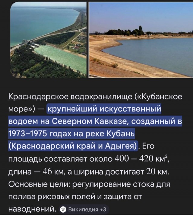 Около 70% пляжей Дагестана закрыли из-за загрязнения Каспийского моря: по береговой линии разбросаны мёртвые тюлени и птицы