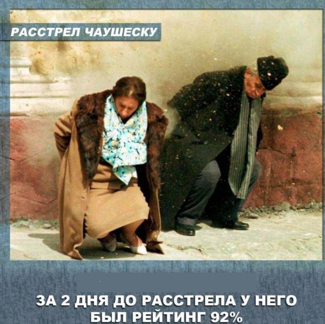 Однажды лидер Либеральной партии Великобритании подарил Чаушеску щенка лабрадора.