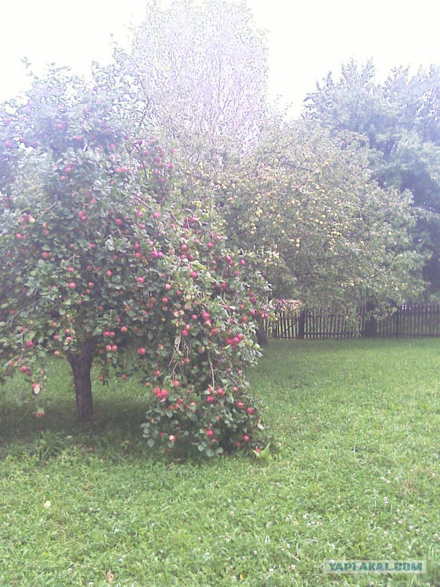 Мой ответ Польше!