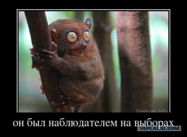 Горячие демотиваторы