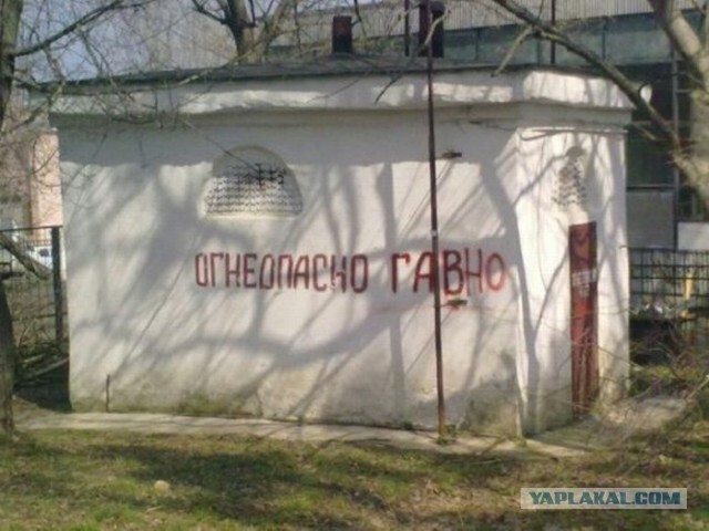 Весёлые картинки