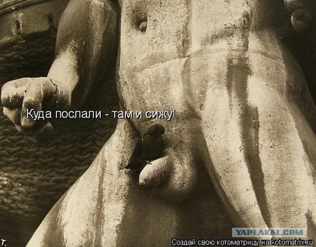 Веселые картинки