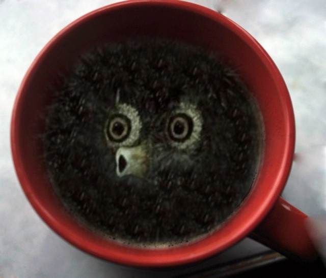 Налил утром кофе
