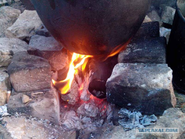 Кулинарный туризм.