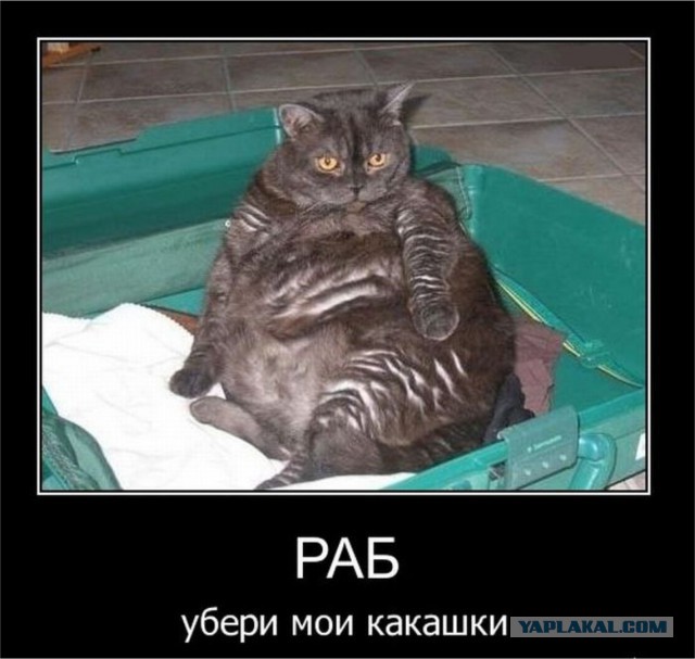 Картинки разные