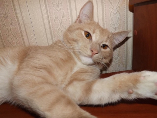 Те, которым мы помогли.