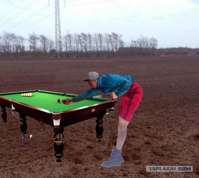 Дачные приколы