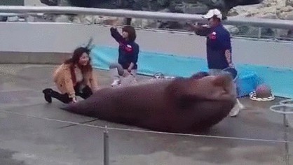 Прокачай прессуху, бро!