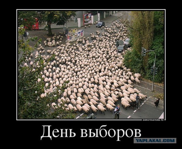 Путин подписал "закон Яровой"