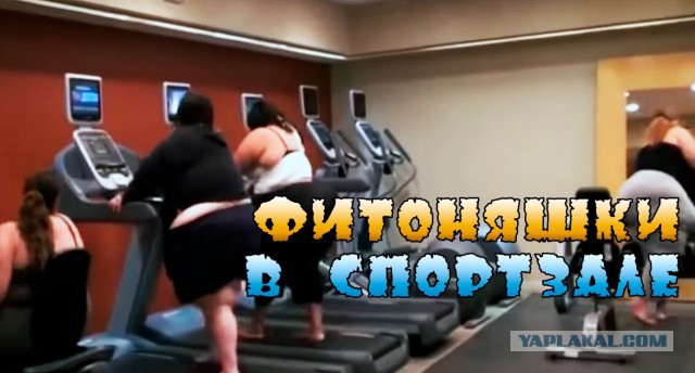 Что видят с рабочего места люди разных профессий