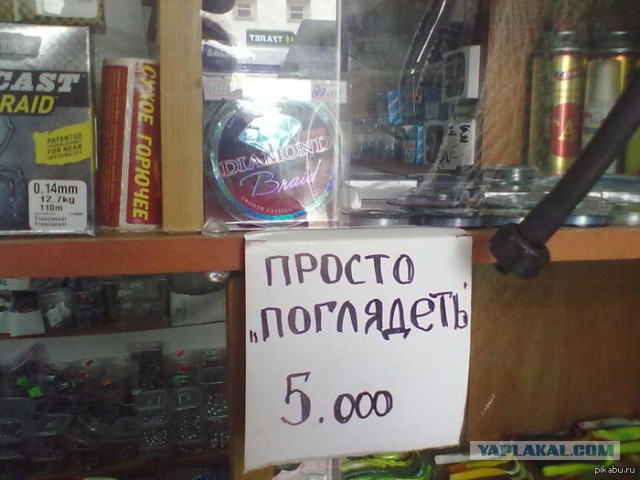 А ты бобрился сегодня?