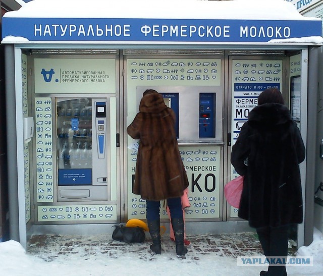 Куда делись молоковозы?