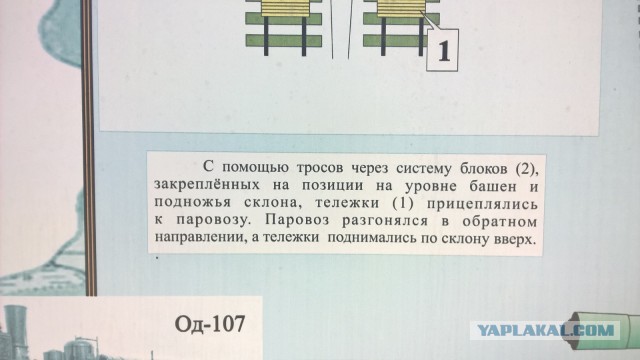 Каникулы во Владивостоке