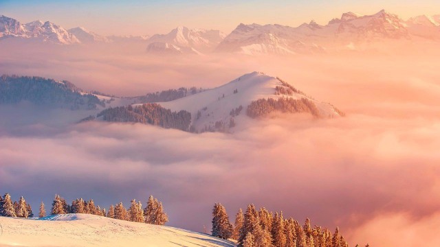 Моменты, запечатлённые на фото и просто позитив 5