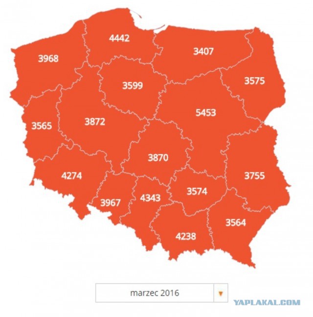 Что почём в супермаркетах Польши
