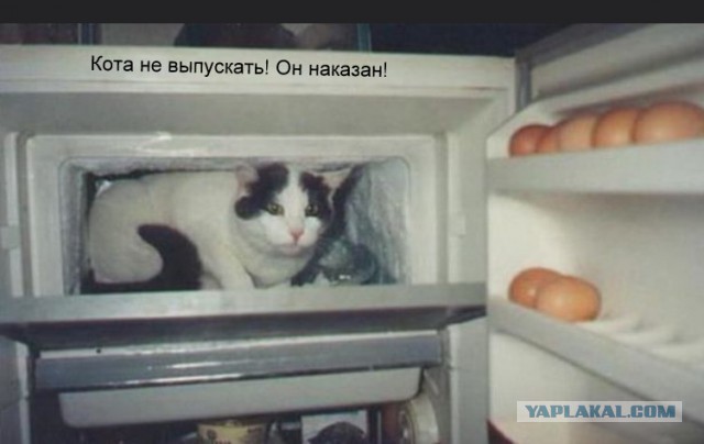"Компот" из картинок в сети.