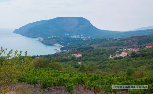 Туристам в крыму предложили подработк