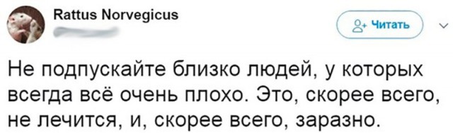 Забавные комментарии, шутки и фразы из этих ваших интернетов