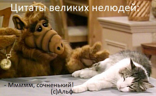 Центнер Идиотизма